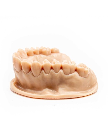 LCD смола FormFutura Dental LCD Resin Model, 0.5 kg, Gypsum Peach